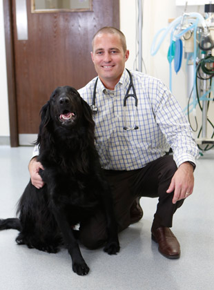 About Omaha Animal Hospital