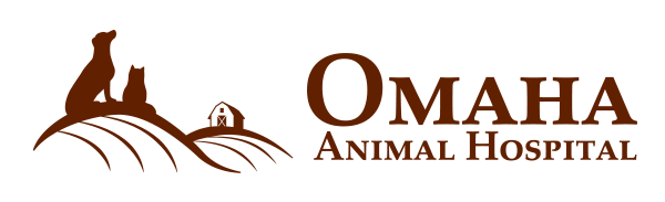 animal hospital in omaha