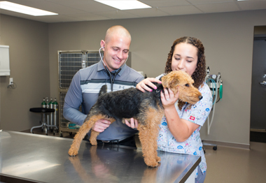 omaha pet wellness, vaccinations